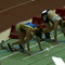DSC01535.jpg