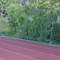 DSC02750.jpg
