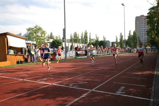 IMG_8351.jpg