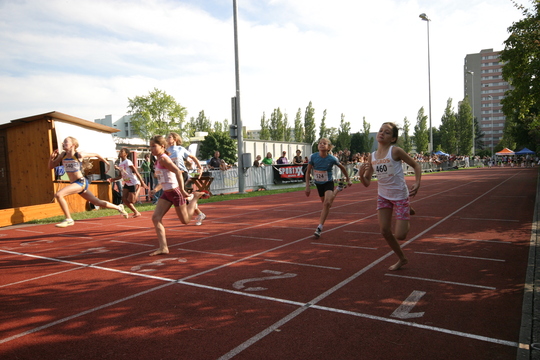 IMG_8366.jpg