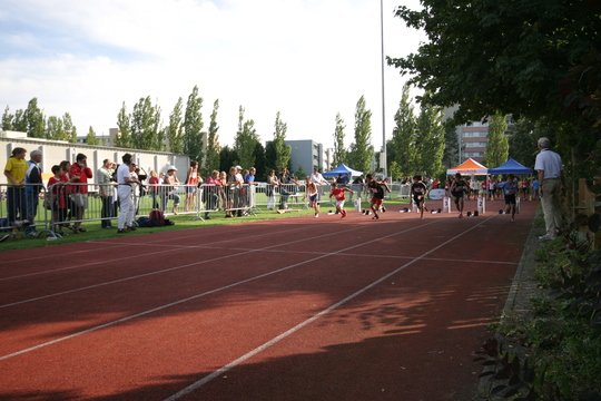 IMG_8377.jpg