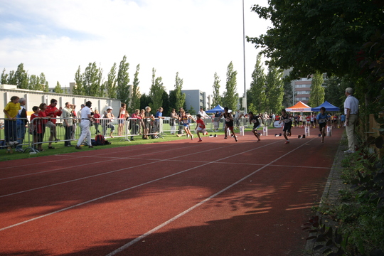 IMG_8378.jpg