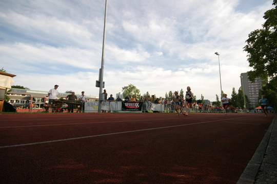 IMG_8391.jpg