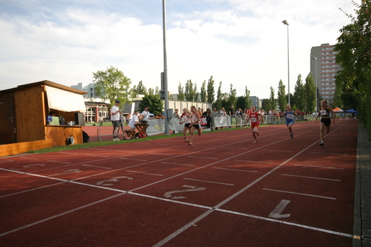 IMG_8398.jpg