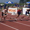 DSC03184.jpg
