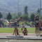 DSC03215.jpg