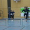 DSC03649.jpg