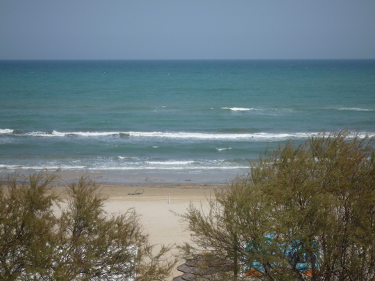 P1000058.jpg