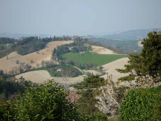 P1000076.jpg