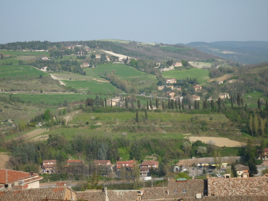 P1000082.jpg