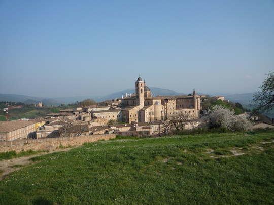 P1000091.jpg
