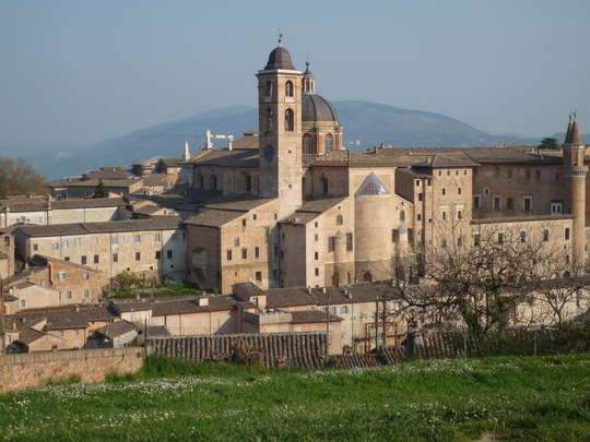 P1000093.jpg