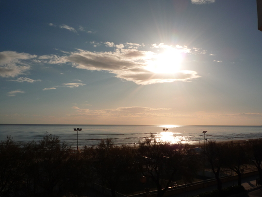 P1000105.jpg