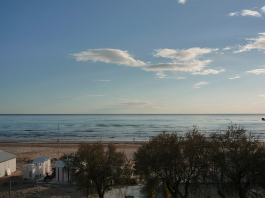 P1000106.jpg