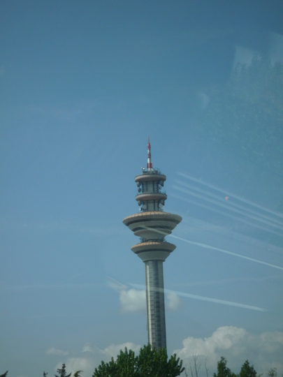P1000134.jpg