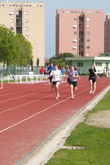 P1020609.jpg