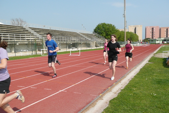 P1020610.jpg