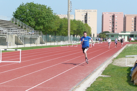 P1020619.jpg