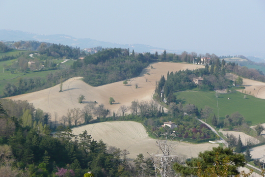 P1020636.jpg