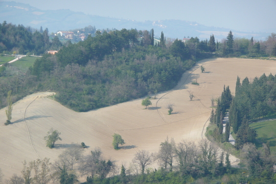 P1020637.jpg