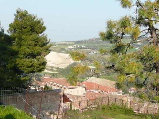 P1020642.jpg