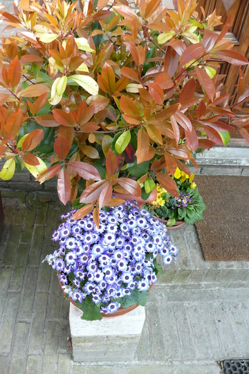 P1020645.jpg