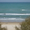 P1000058.jpg