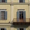 P1000066.jpg