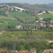 P1000082.jpg