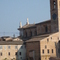 P1000089.jpg