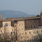 P1000097.jpg