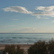 P1000106.jpg