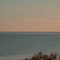 P1000108.jpg
