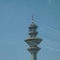 P1000134.jpg