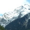 P1000148.jpg