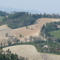 P1020636.jpg