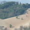 P1020637.jpg
