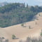P1020638.jpg