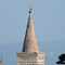 P1020639.jpg
