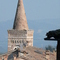 P1020640.jpg