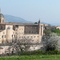P1020648.jpg
