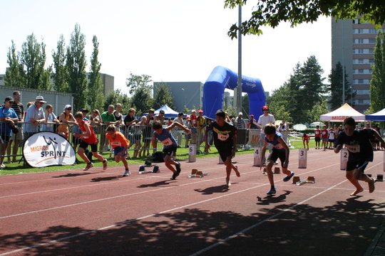 IMG_2560.jpg