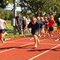 DSC01815.jpg