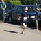 DSC05776.jpg