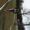 DSCN1152.jpg