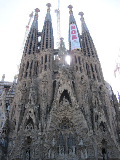 IMG_3445.jpg