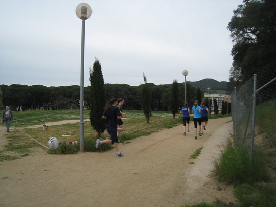 IMG_6184.jpg