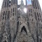 IMG_3445.jpg
