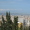 img_6175.jpg
