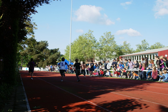 DSC07417.jpg